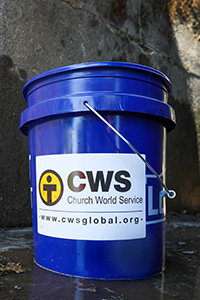 # of Emergency Cleanup Buckets (suggested increments of 36)